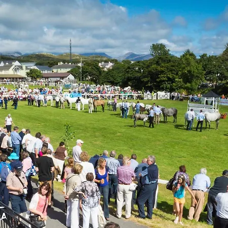 Holiday home 490 - Clifden